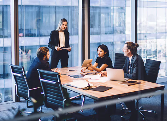 Types of Various IB Programs